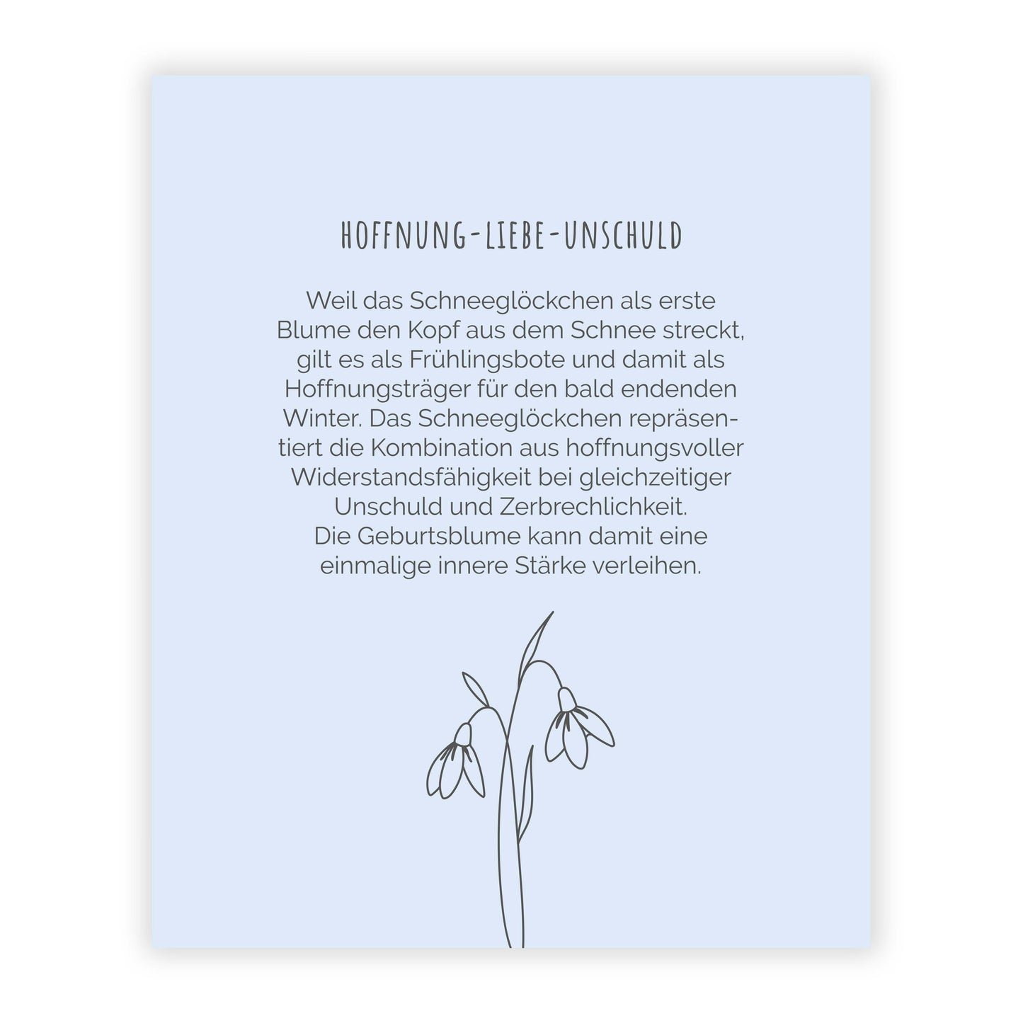 JANUAR SCHNEEGLÖCKCHEN Armband