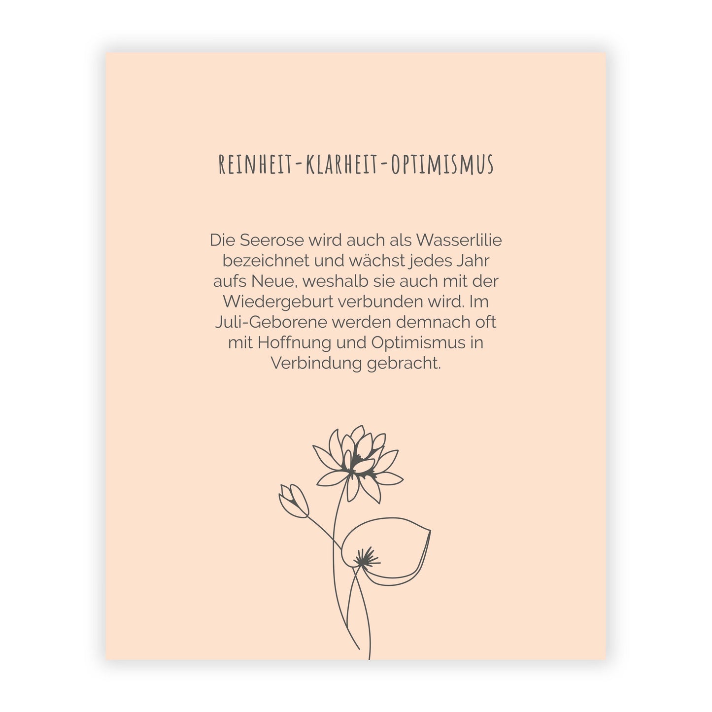 JULI SEEROSE Armband