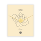 JUNI ROSE Armband