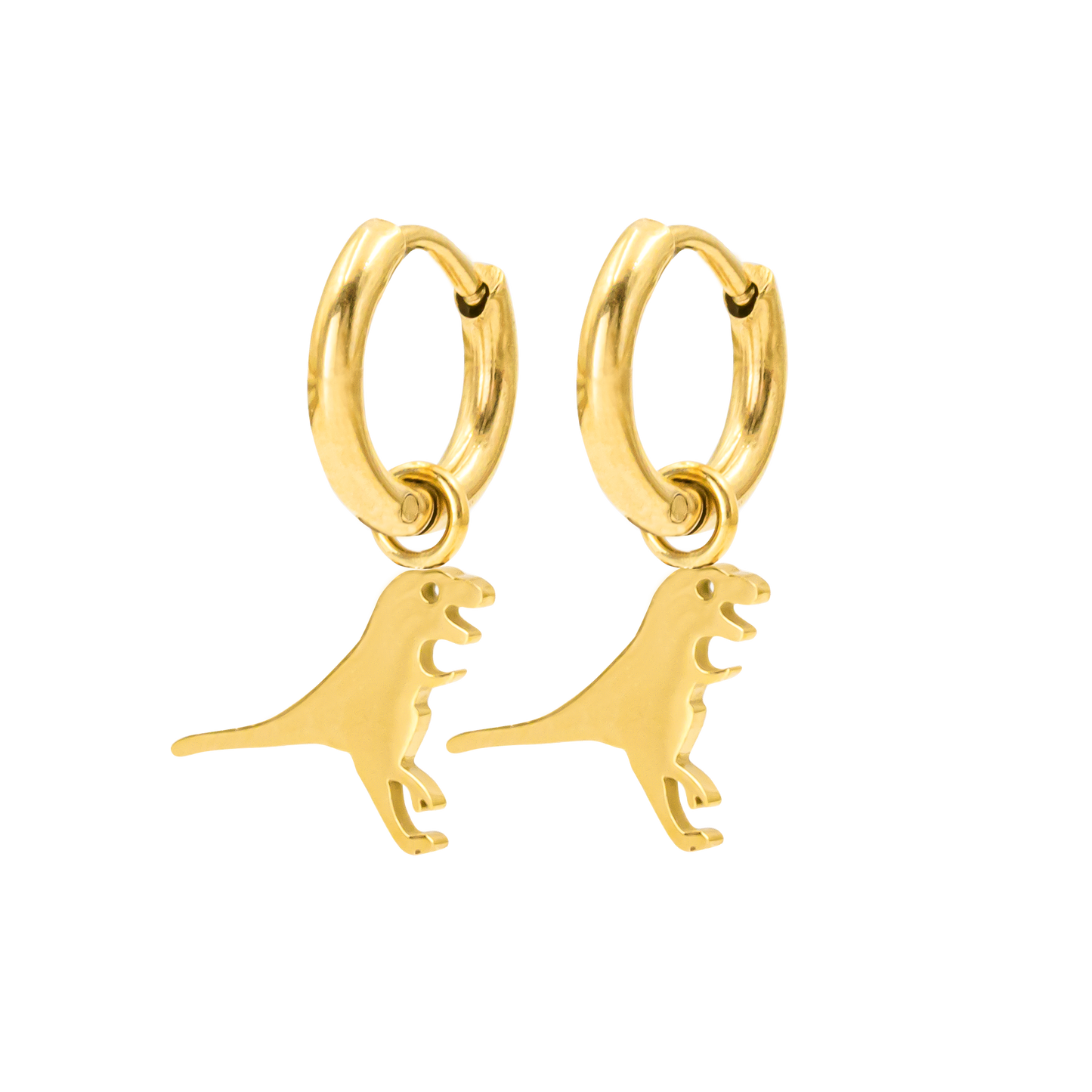 T-REX Hoops